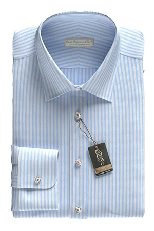 MASTER SEED Saxe Stripe(PN-TY89426)