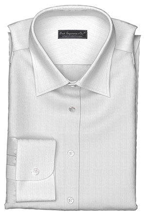 Wrinkle Free 100/2ドビー ホワイトストライプ(TY92401-HWF)