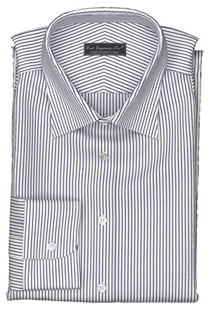 Wrinkle Free ネイビー ストライプ(TY100888)