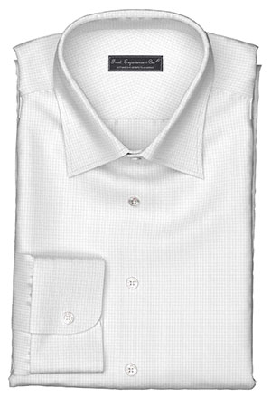 WRINKLE FREE TC ホワイト ドビー チェック (Y100969)