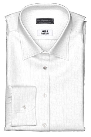 GIZA 100/2ply ホワイトキリン柄ドビー(Y101737)